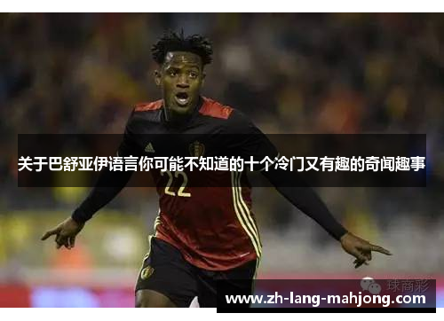 关于巴舒亚伊语言你可能不知道的十个冷门又有趣的奇闻趣事