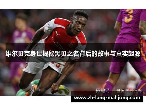 维尔贝克身世揭秘黑贝之名背后的故事与真实起源