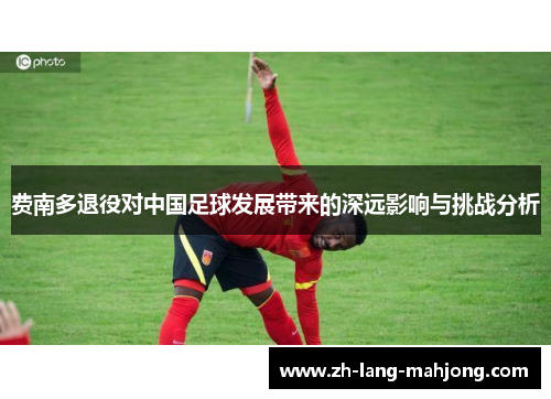 费南多退役对中国足球发展带来的深远影响与挑战分析
