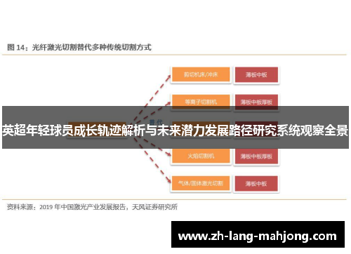 英超年轻球员成长轨迹解析与未来潜力发展路径研究系统观察全景